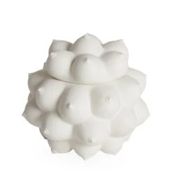 Georgia Box - / Porcelain - Breasts In Relief - Jonathan Adler