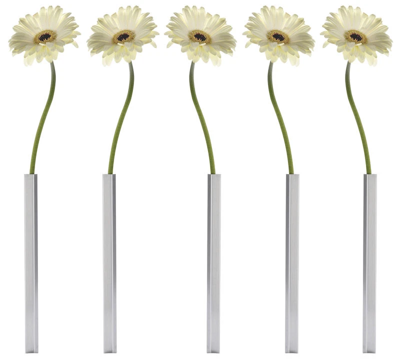 Magnetic Bud Vase - Set Of 5 - Pa Design