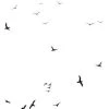 Flock Of Gulls Sticker - Domestic