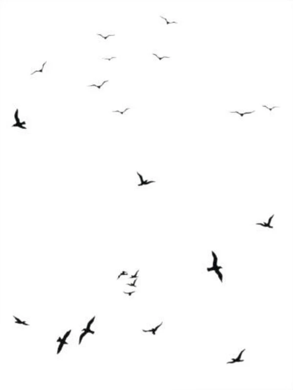 Flock Of Gulls Sticker - Domestic