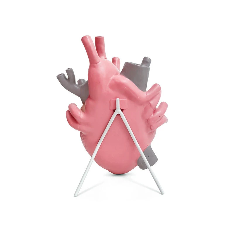 Love In Bloom Color Vase - / Human Heart - Porcelain / H 25 Cm - Seletti - Image 2