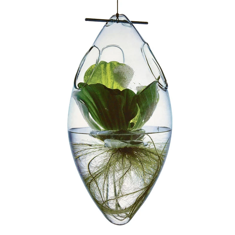 Tsé & Tsé Paresseux Vase - Hanging Vase - Tsé-Tsé - Image 5