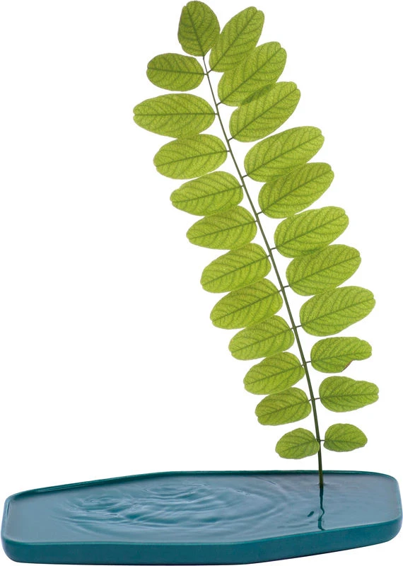 Plan Vase - Small - 24 X 15 Cm - Moustache