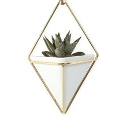 Trigg Small Wall Pot - / Ceramic - Set Of 2 - Umbra