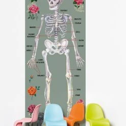 Le Squelette Humain Wallpaper - Wall Paper - Domestic